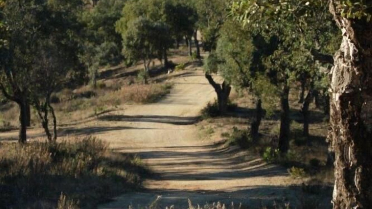 Photo of Outdoor in Les Issambres