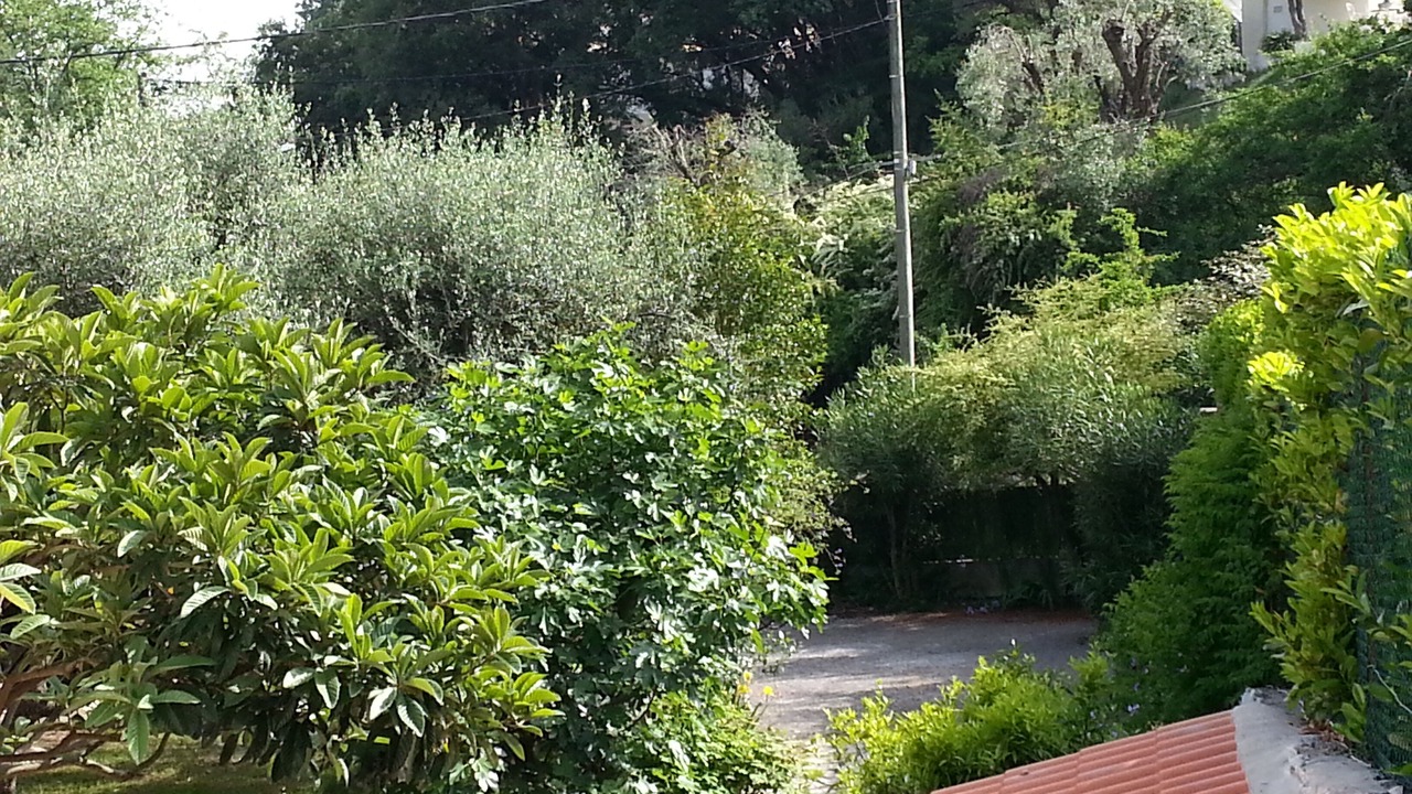 Photo of Outdoor in Tourrettes-sur-Loup