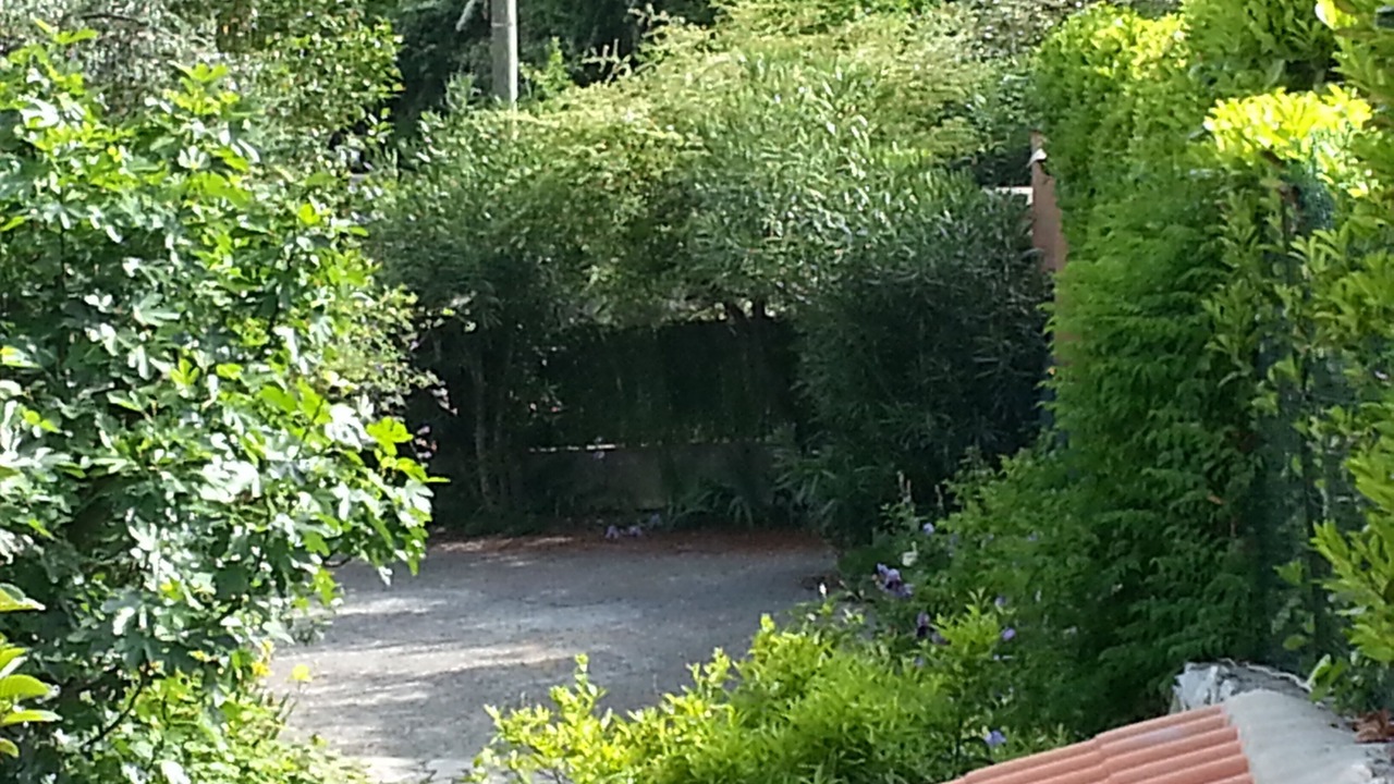 Photo of Outdoor in Tourrettes-sur-Loup