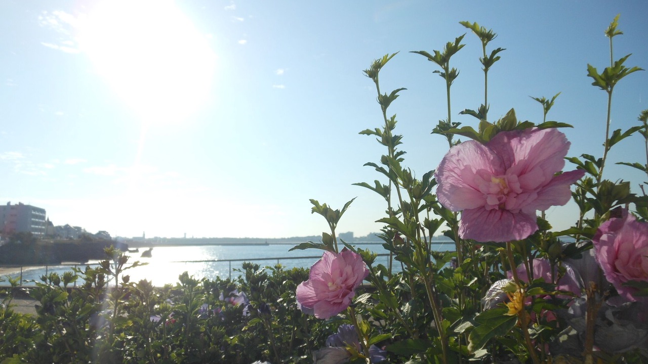 Photo of Outdoor in Saint-Hilaire-de-Riez