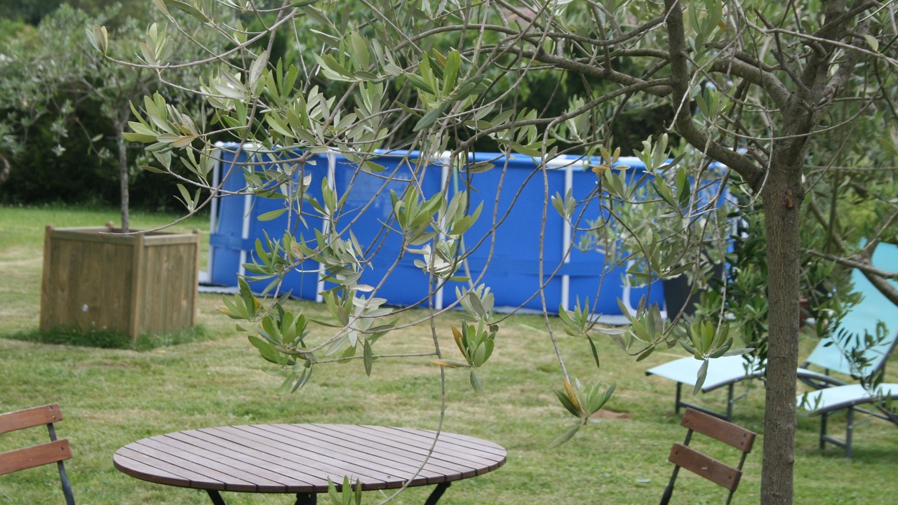 Photo of Outdoor in Thezac