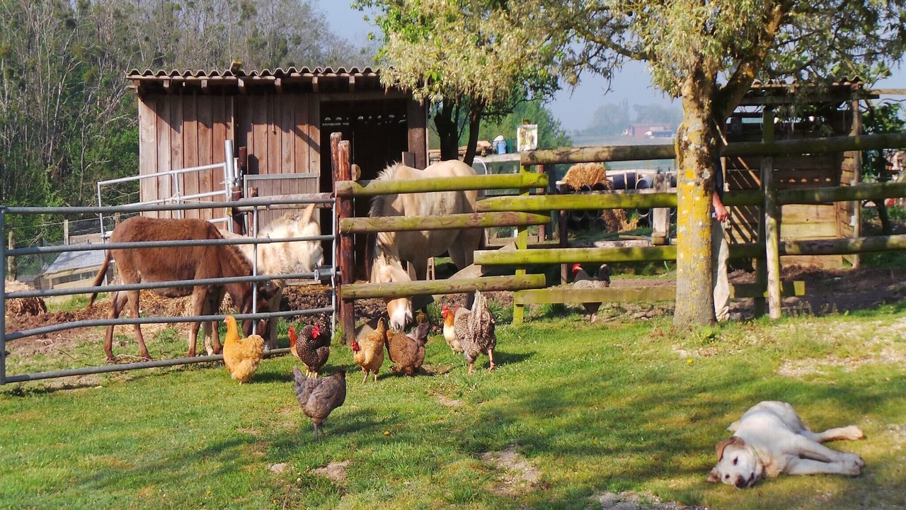 Photo of Others in Monprimblanc