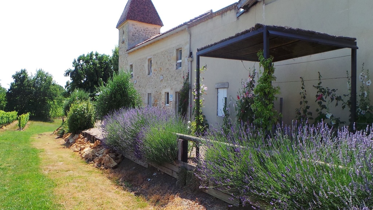 Photo of Outdoor in Monprimblanc