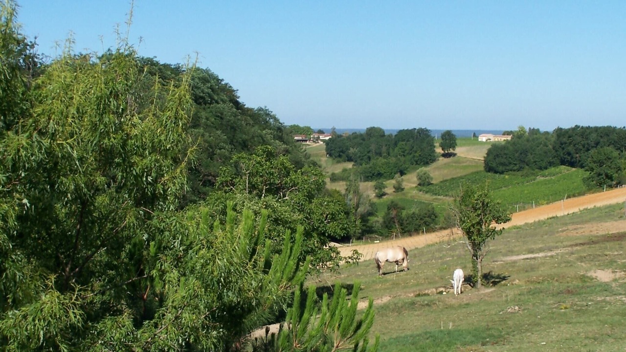 Photo of Others in Monprimblanc