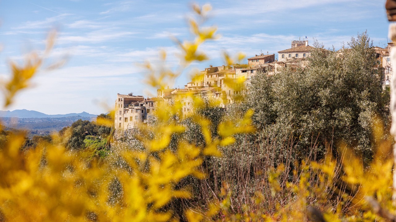 Photo of Others in Tourrettes-sur-Loup