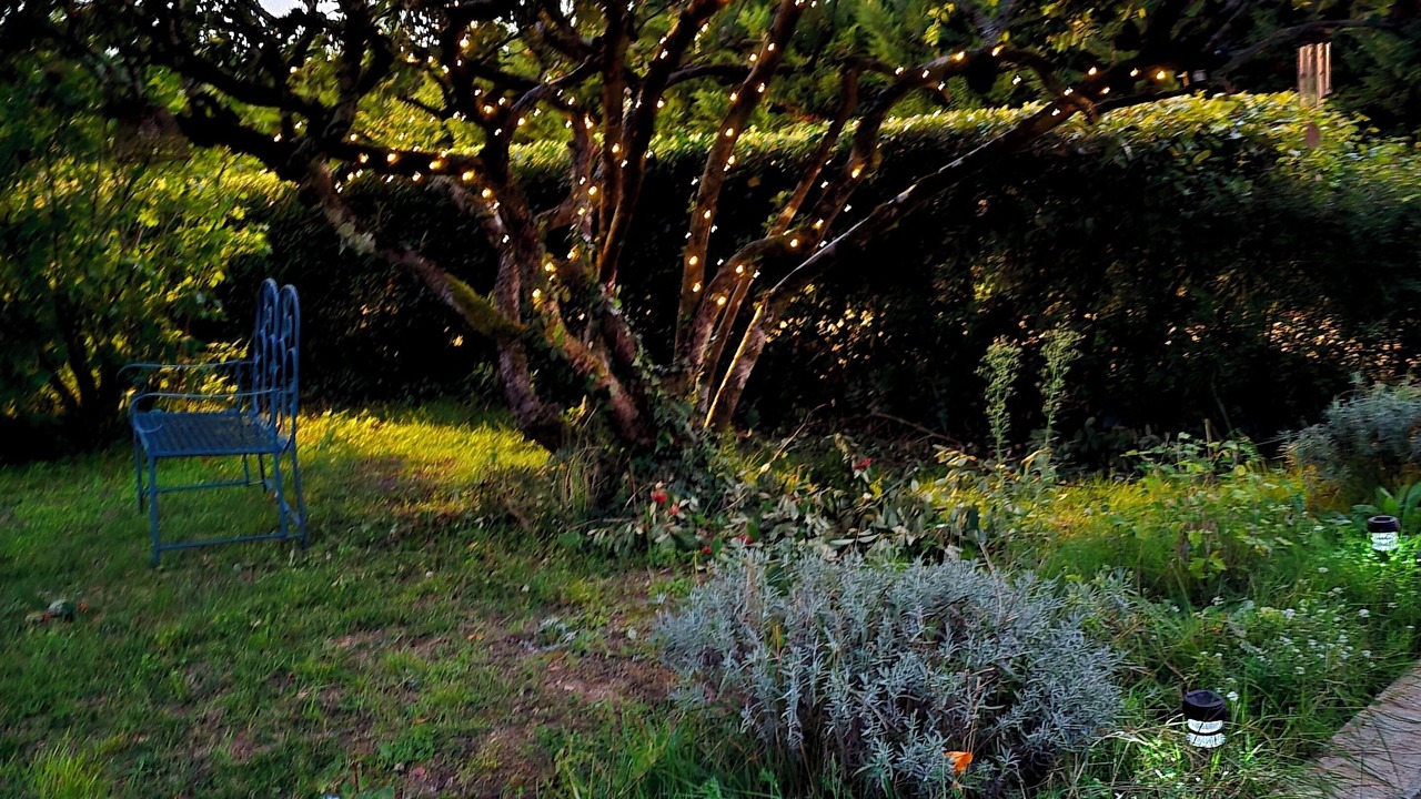 Photo of Outdoor in Jonzac