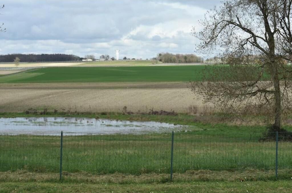 Photo of Others in Montendre