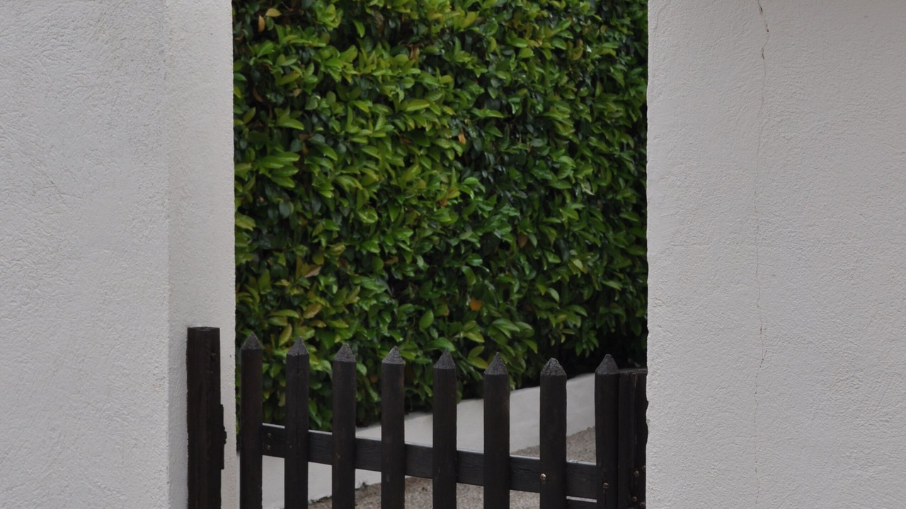 Photo of Outdoor in Valbonne