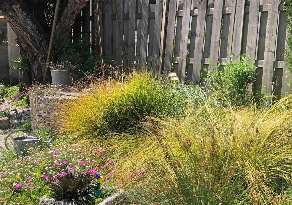Photo of Outdoor in Saint-Georges-d'Oleron