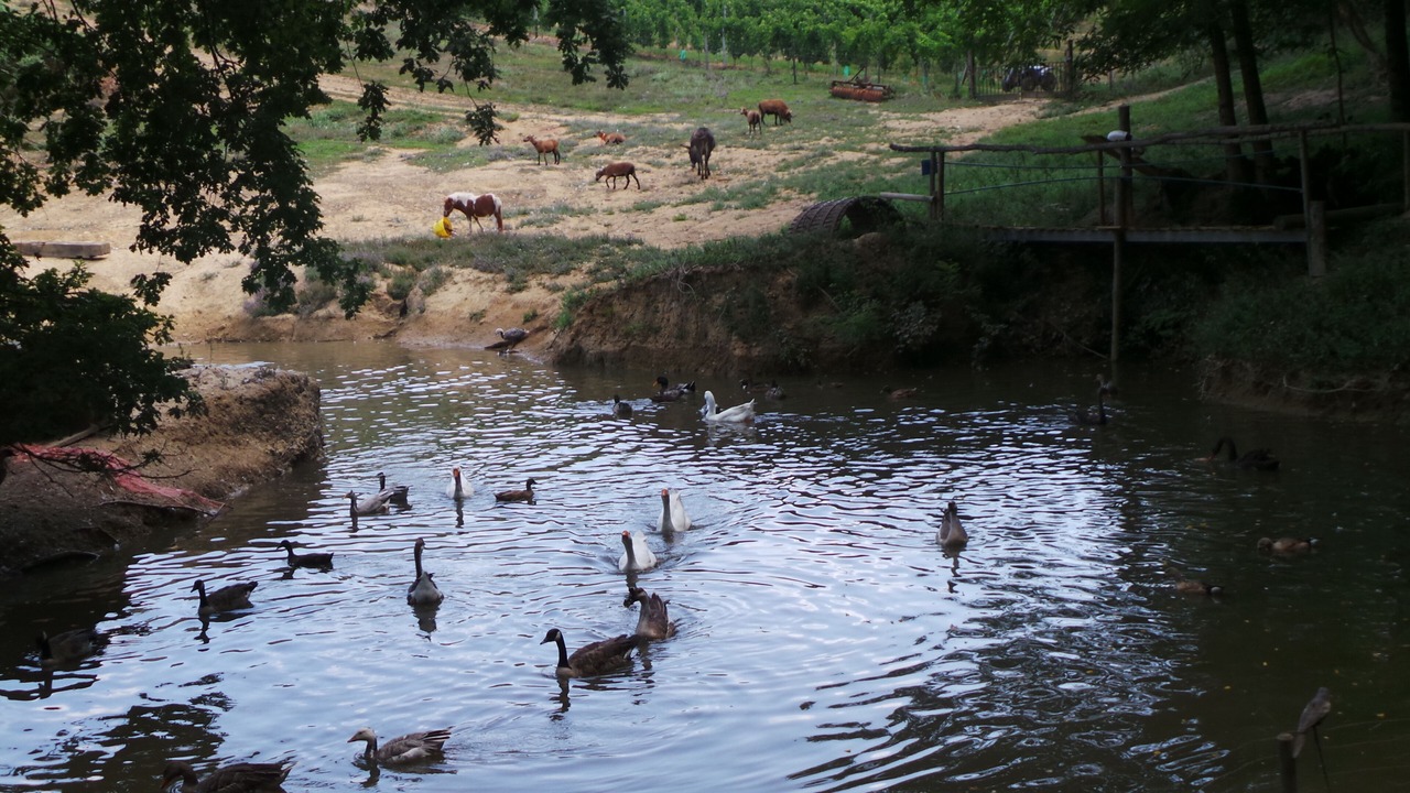 Photo of Others in Monprimblanc