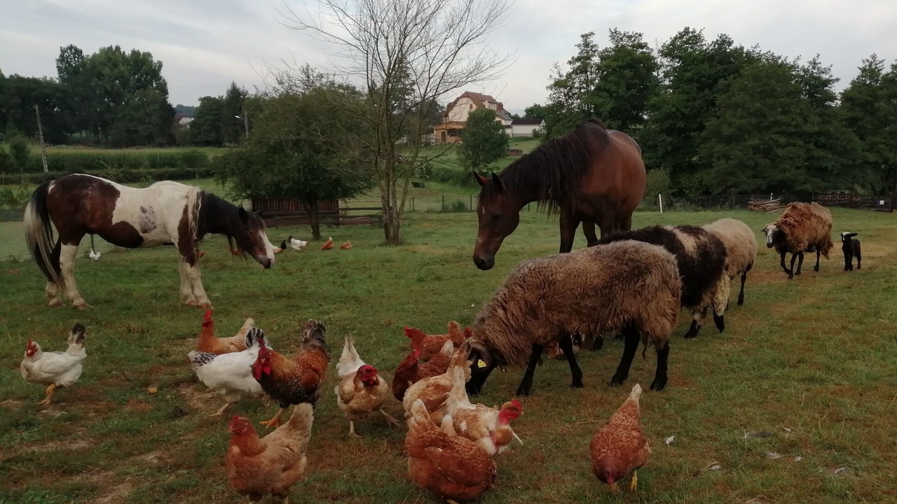 Photo of Others in Castetnau-Camblong