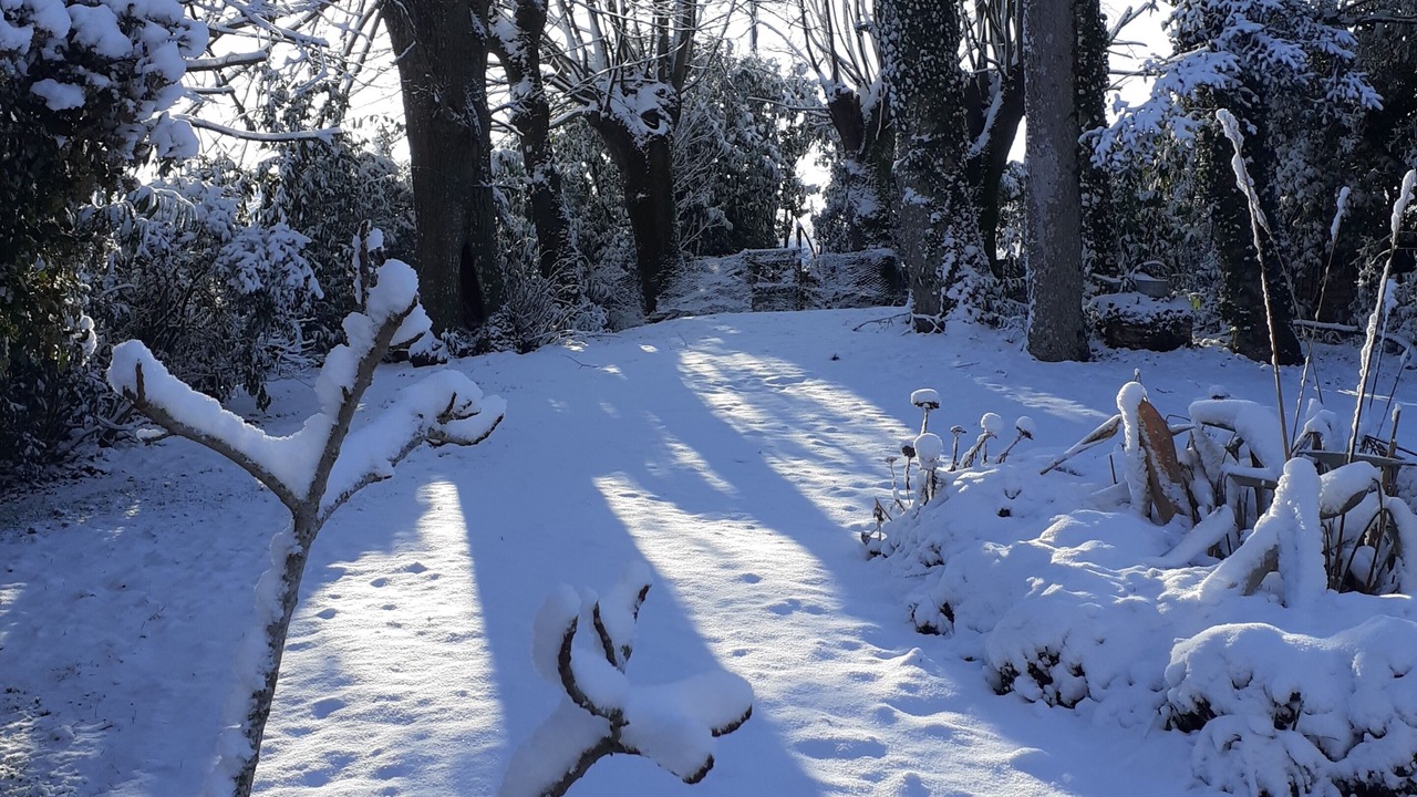 Photo of Outdoor in Fors