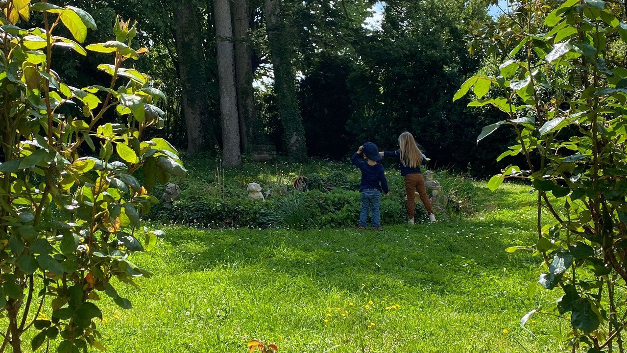 Photo of Outdoor in Fors