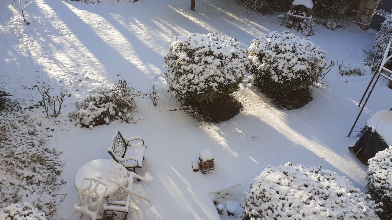Photo of Outdoor in Fors