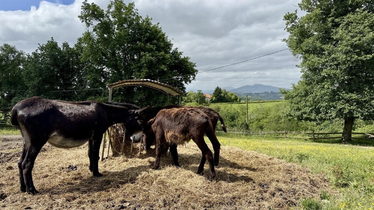 Photo of Others in La Bastide-Clairence