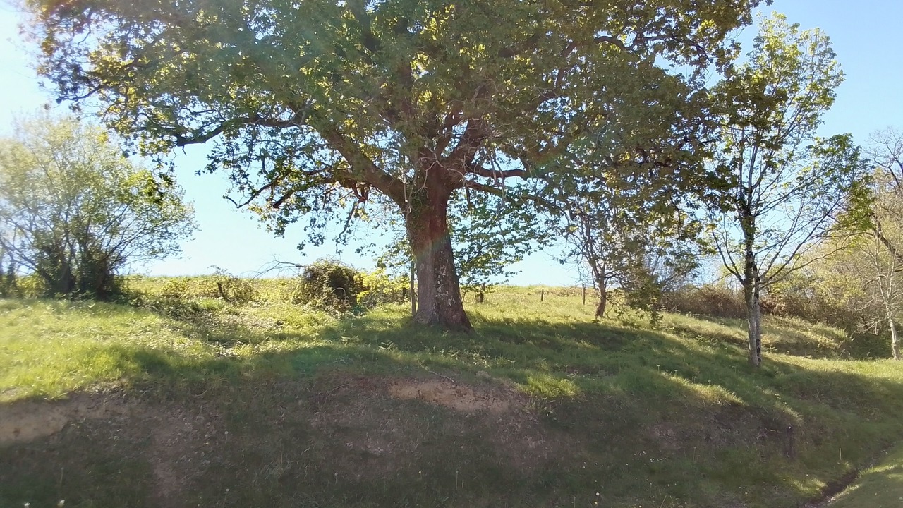 Photo of Others in Beyrie-sur-Joyeuse