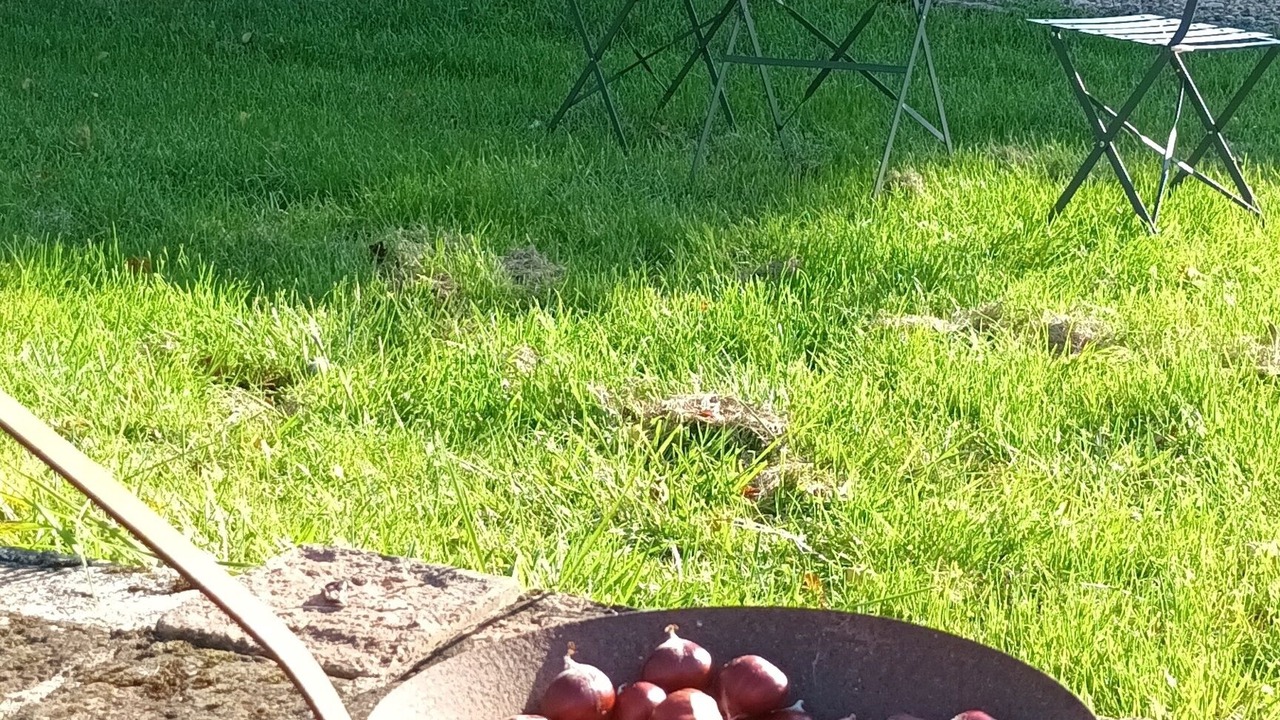Photo of Outdoor in Oucques