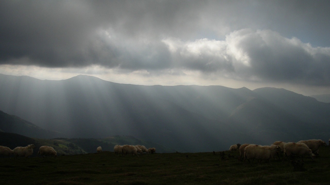 Photo of Others in Esterencuby