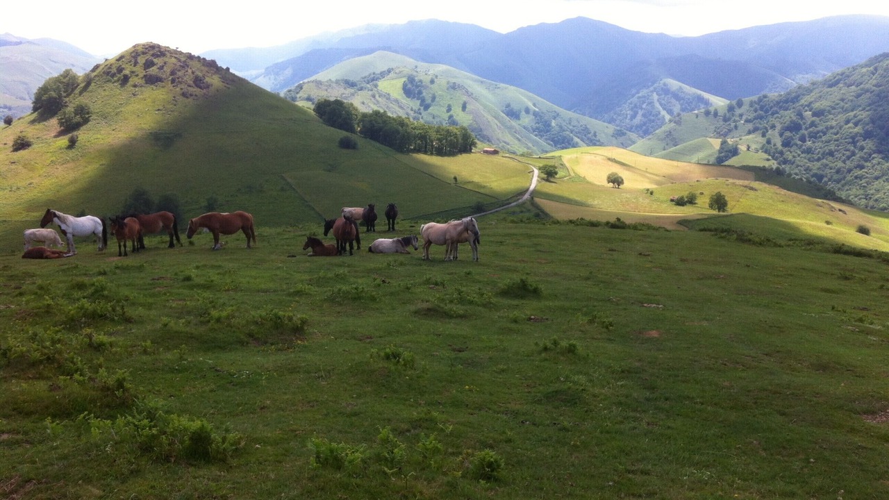 Photo of Others in Esterencuby