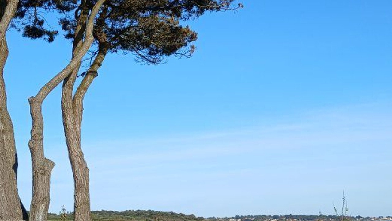 Photo of Others in La Plaine-sur-Mer