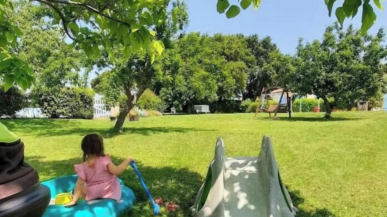 Photo of Outdoor in Semoussac