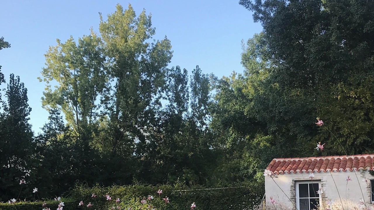 Photo of Outdoor in Machecoul