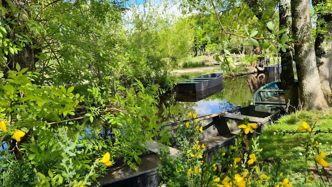 Photo of Outdoor in Saint-Lyphard