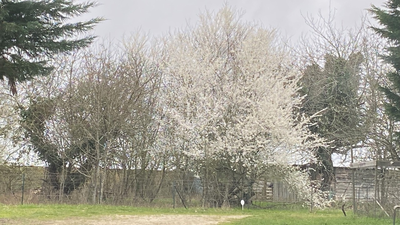 Photo of Others in Saint-Andre-de-Lidon