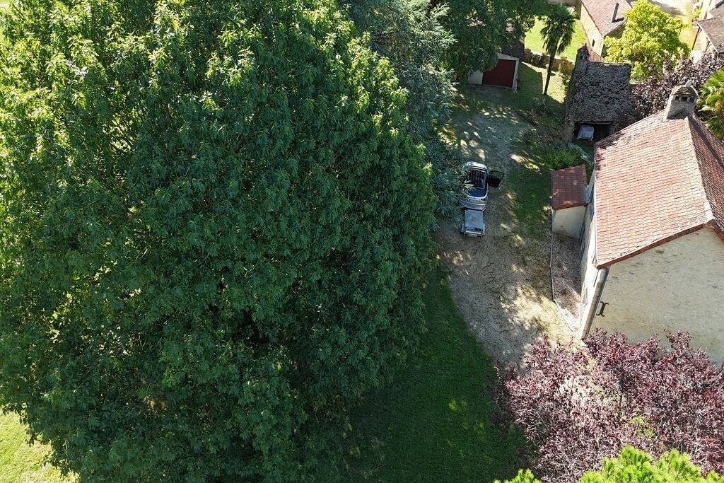 Photo of Outdoor in La Chapelle-Aubareil