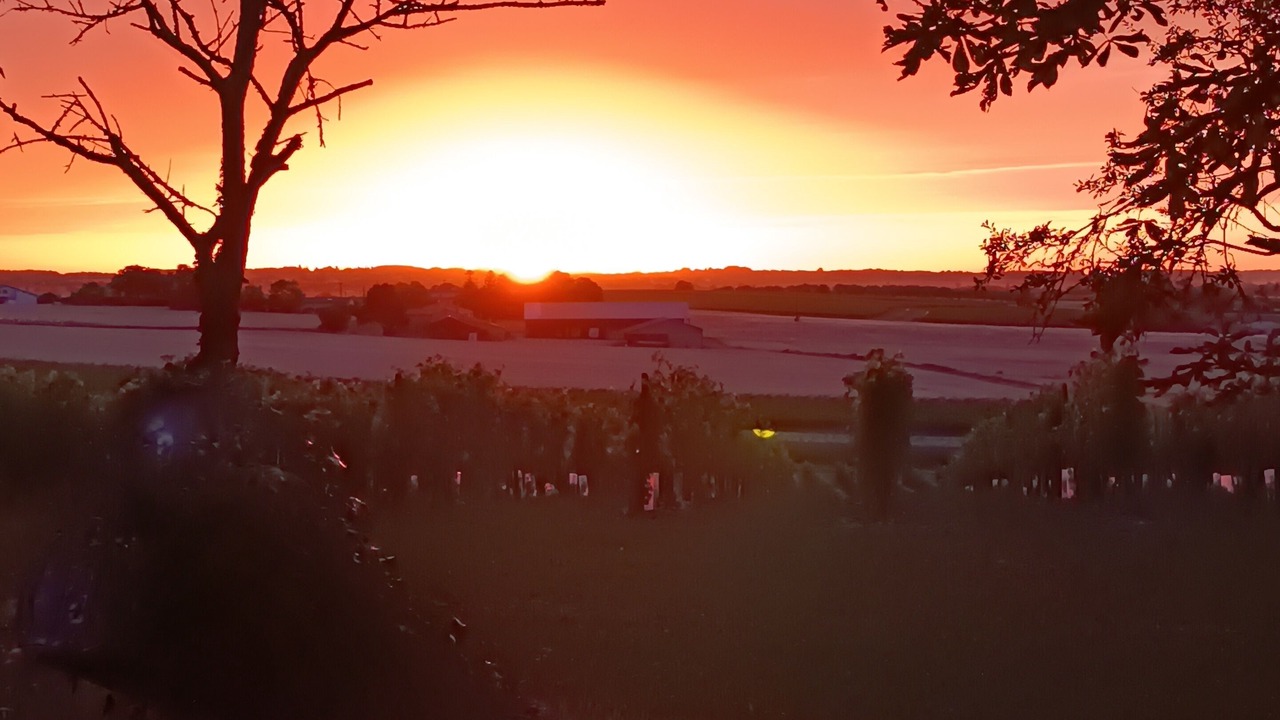 Photo of Others in Leoville