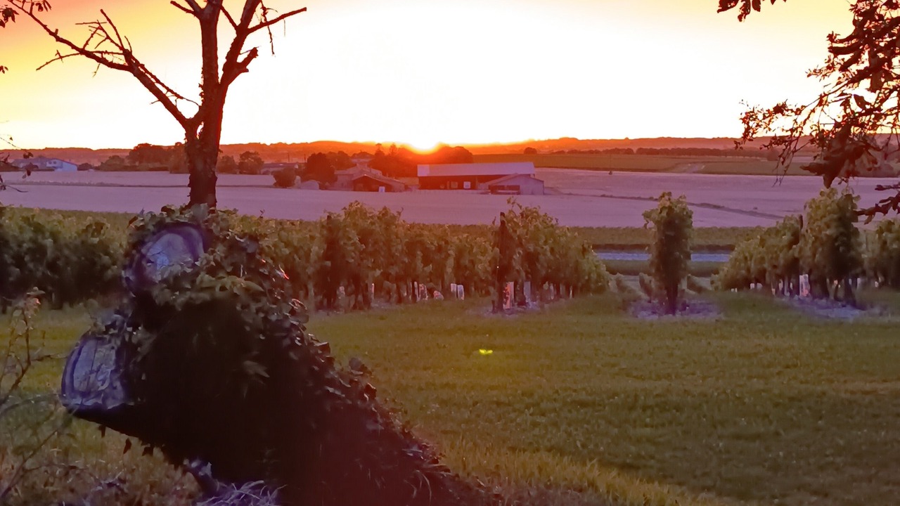 Photo of Others in Leoville