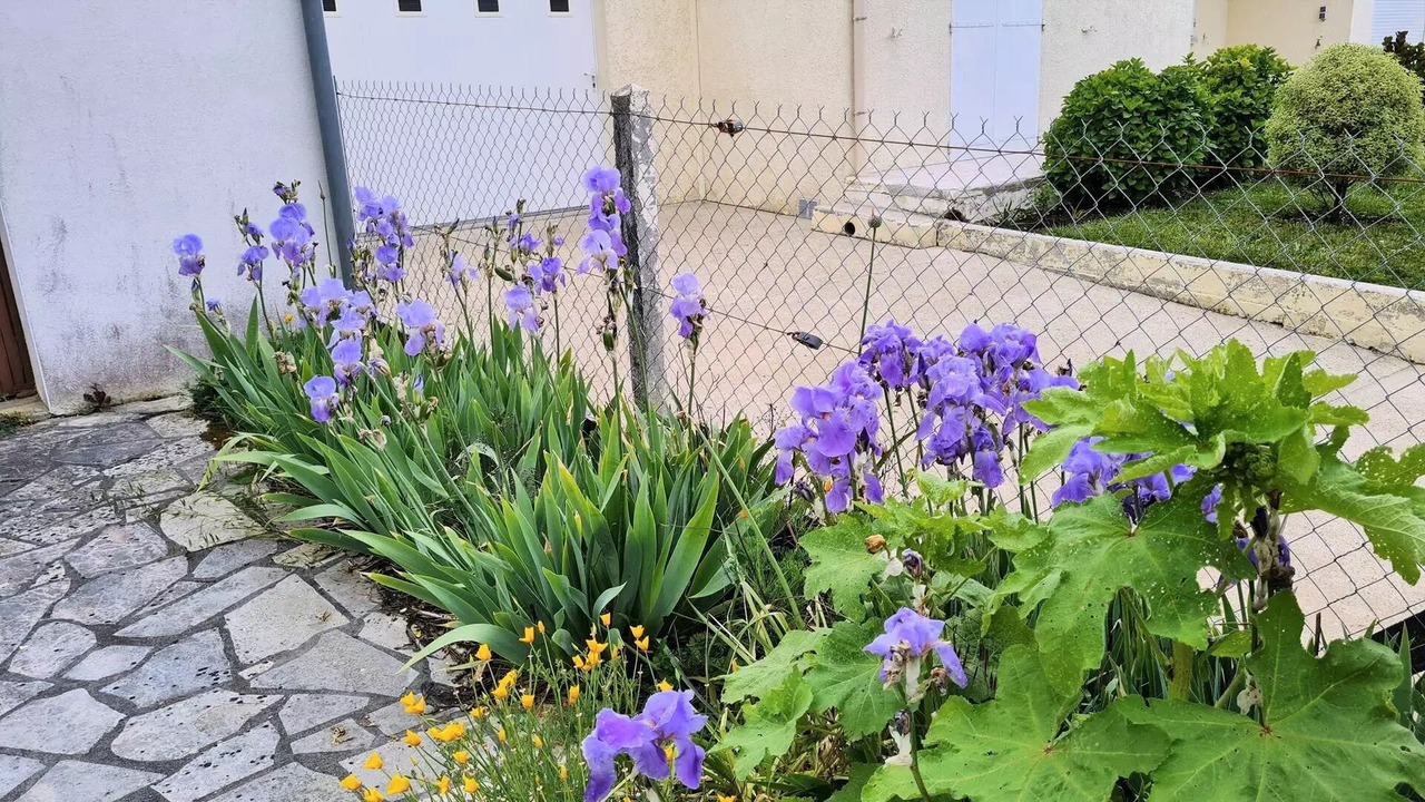 Photo of Outdoor in Saint-Georges-de-Didonne