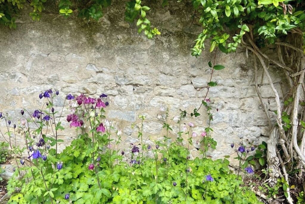 Photo of Outdoor in Meux