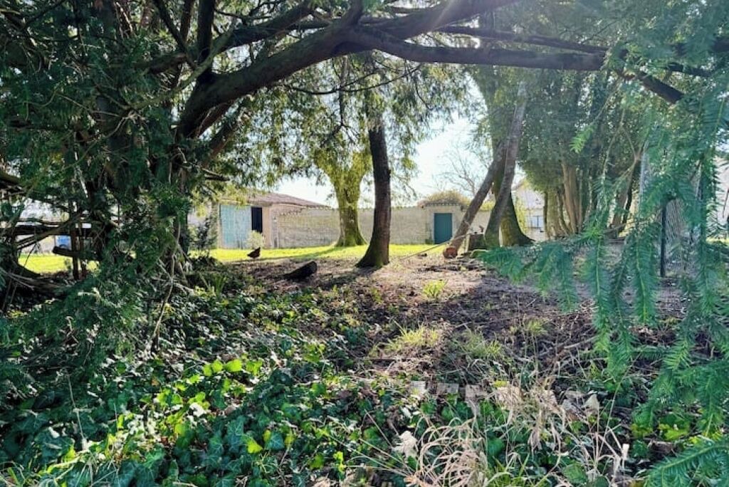 Photo of Outdoor in Meux