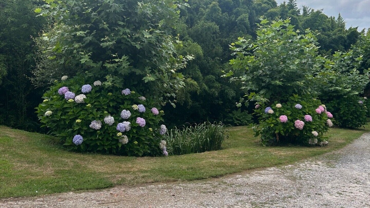Photo of Outdoor in Saubrigues