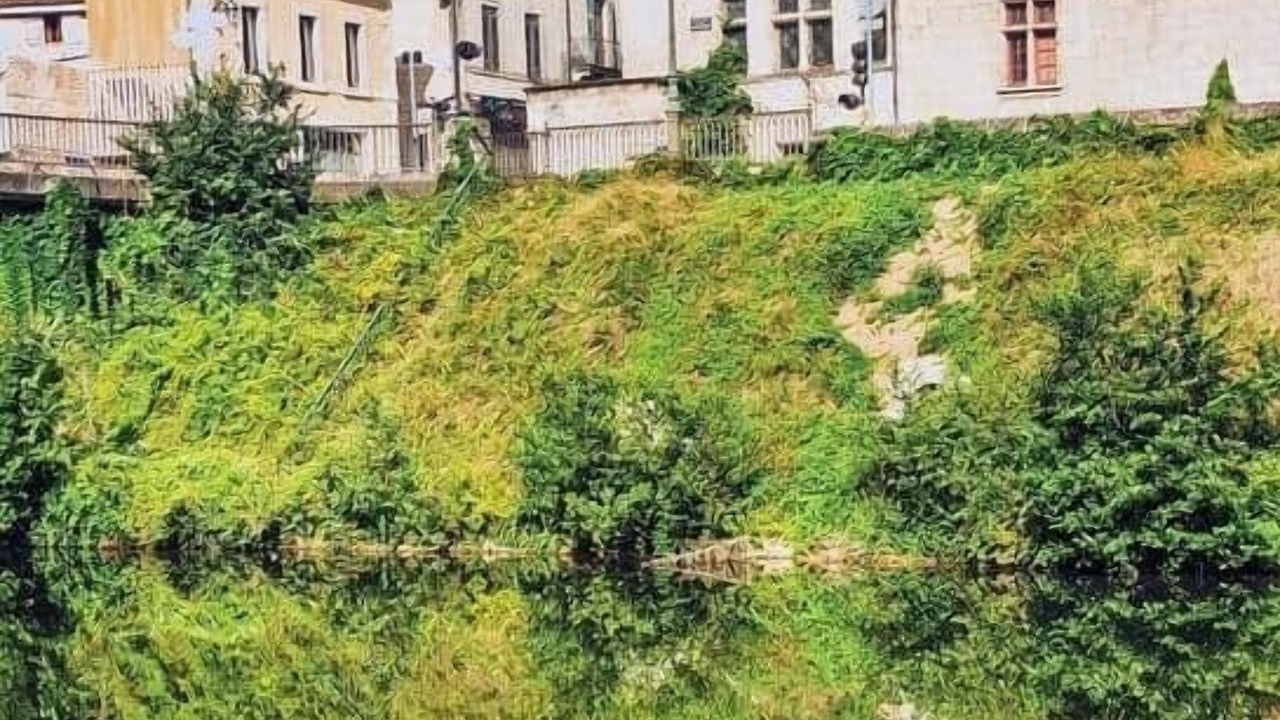 Photo of Others in Perigueux
