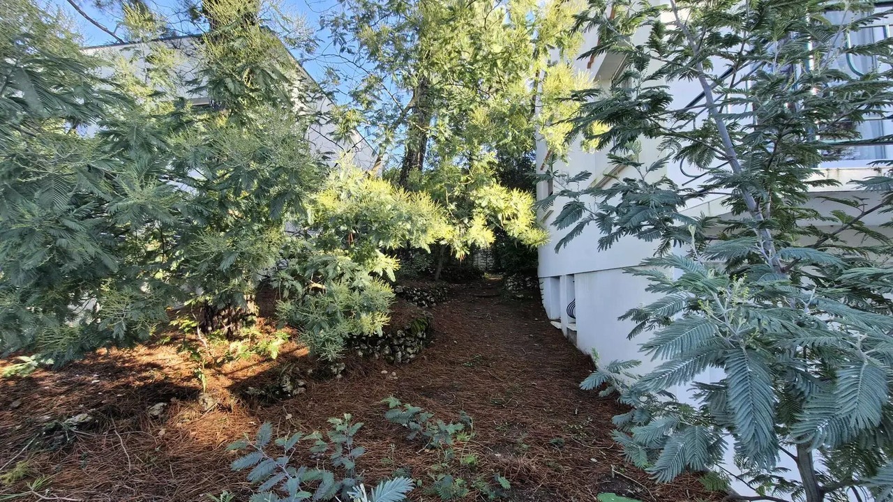 Photo of Outdoor in Saint-Georges-de-Didonne