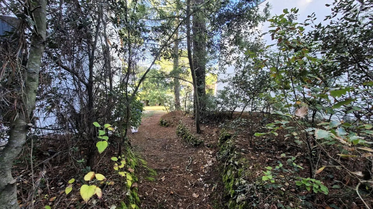 Photo of Outdoor in Saint-Georges-de-Didonne