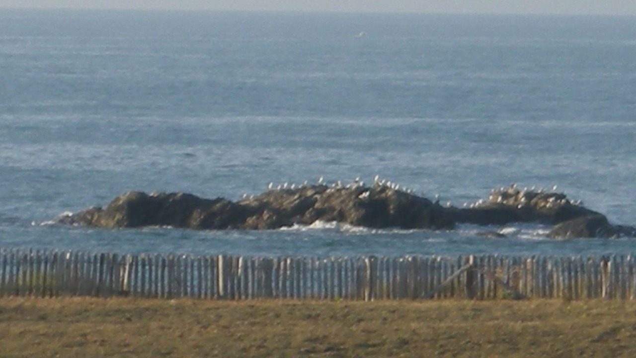 Photo of Others in Saint-Hilaire-de-Riez