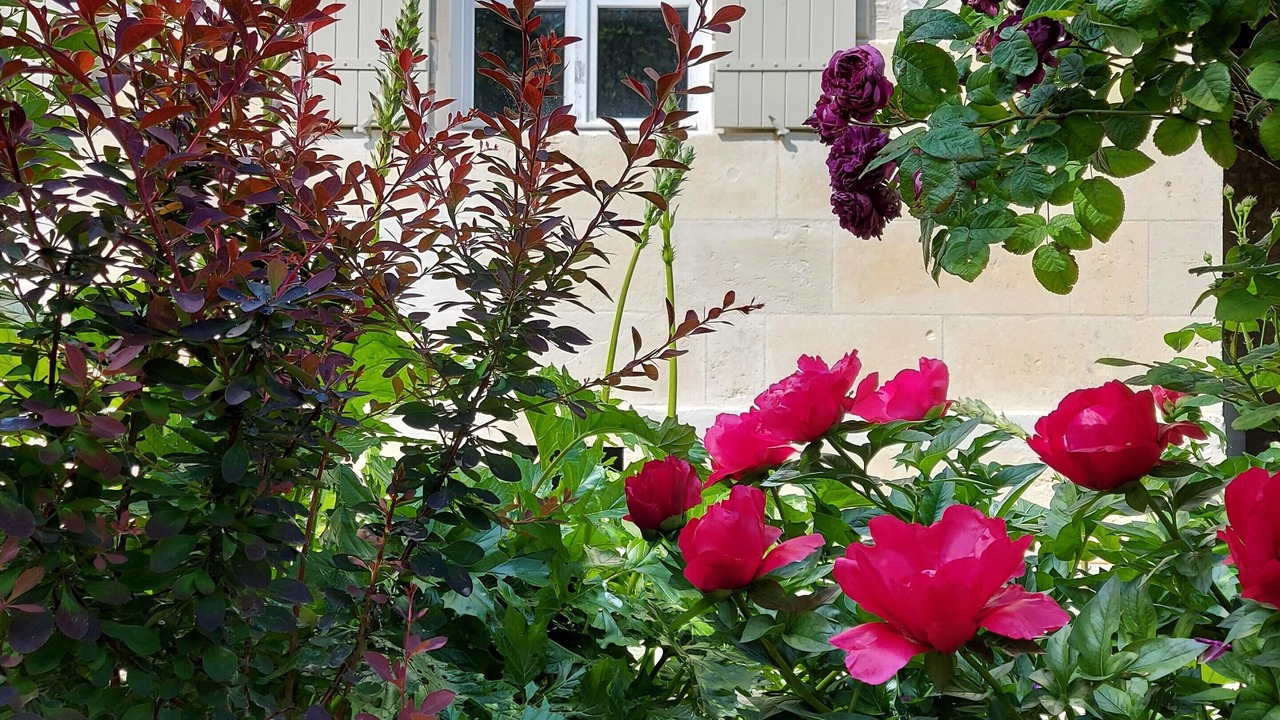 Photo of Outdoor in Saint-Georges-des-Agouts