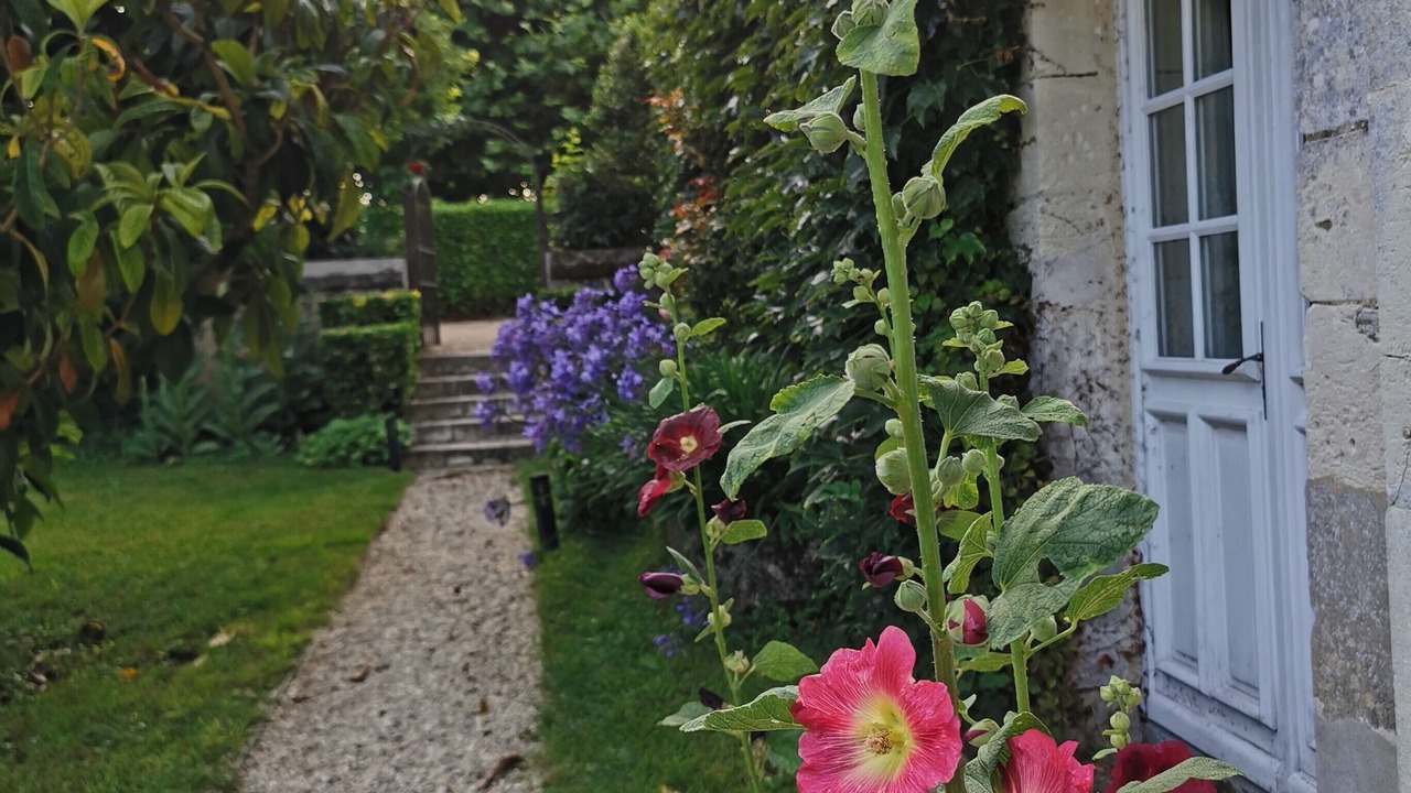 Photo of Outdoor in Saint-Georges-des-Agouts