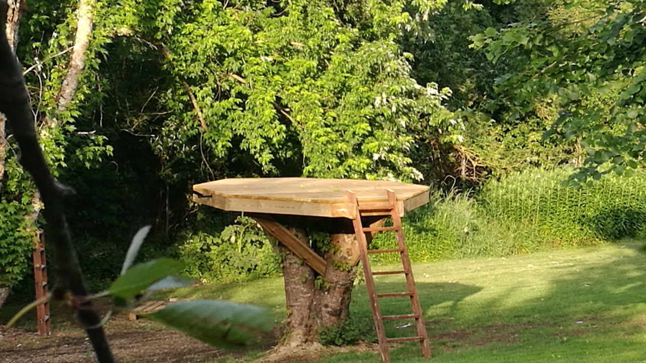Photo of Outdoor in Saint-Georges-des-Agouts
