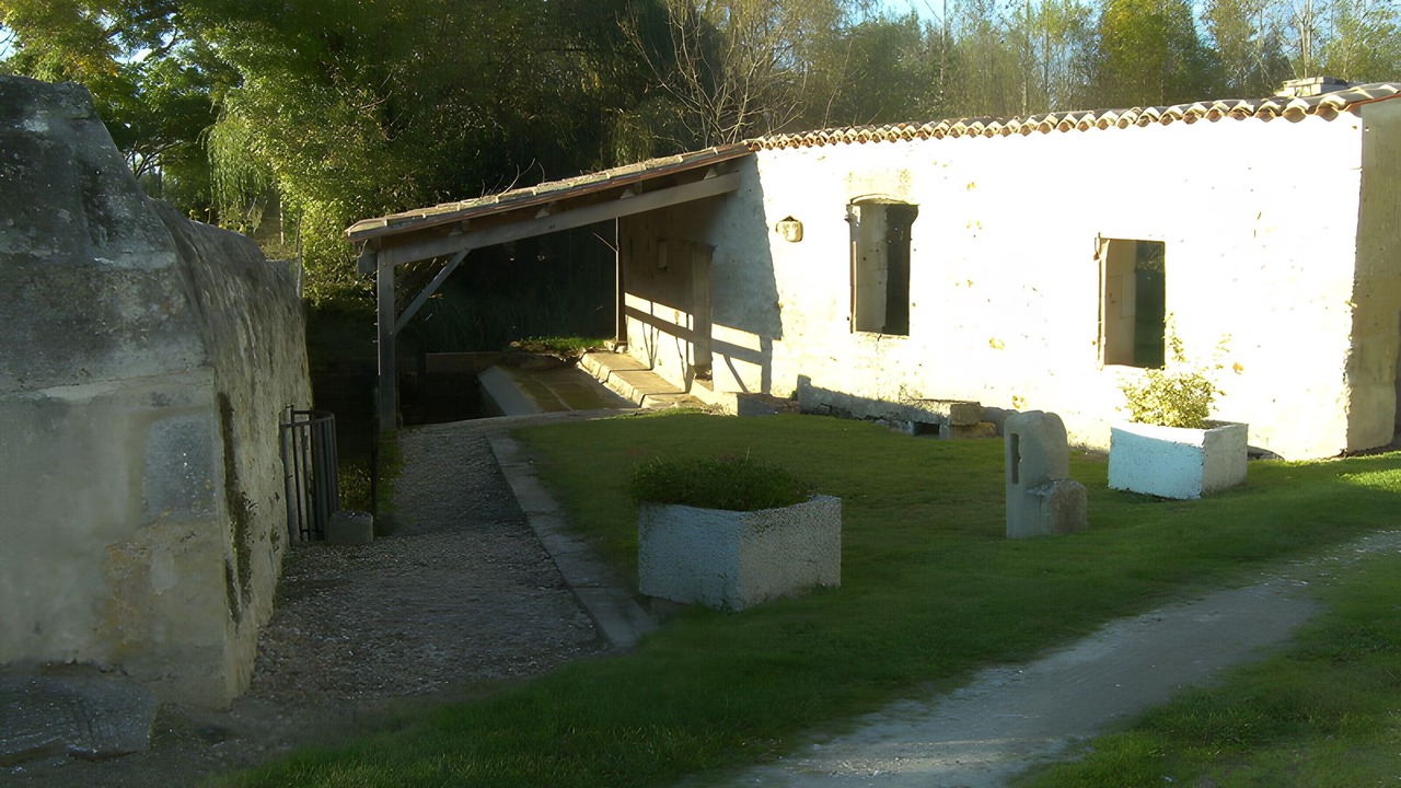 Photo of Outdoor in Clion