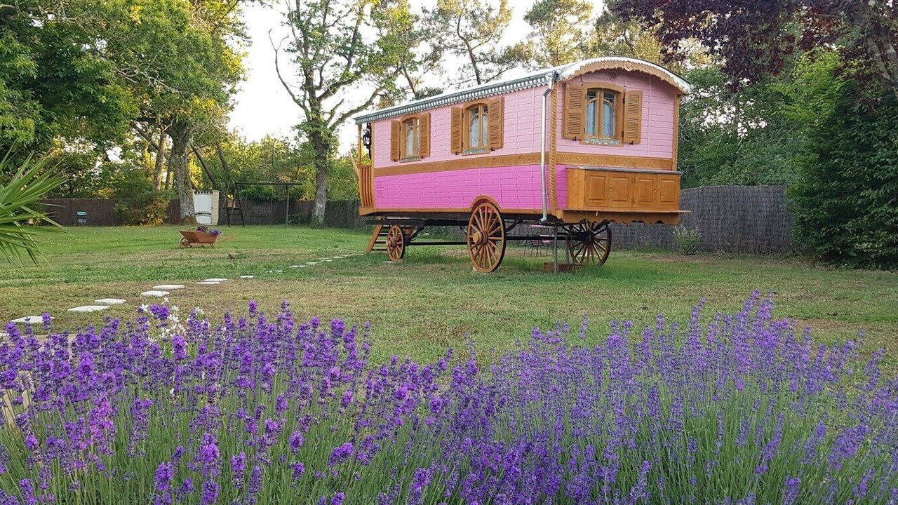 Photo of Outdoor in Bussac-Foret