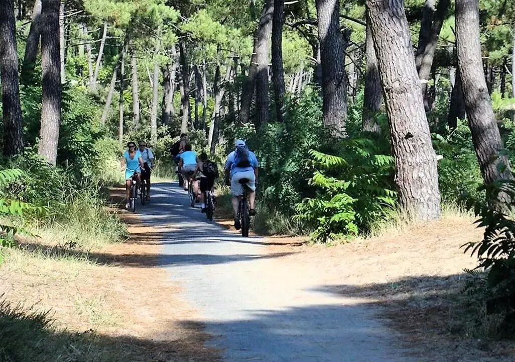 Photo of Others in Saint-Palais-sur-Mer