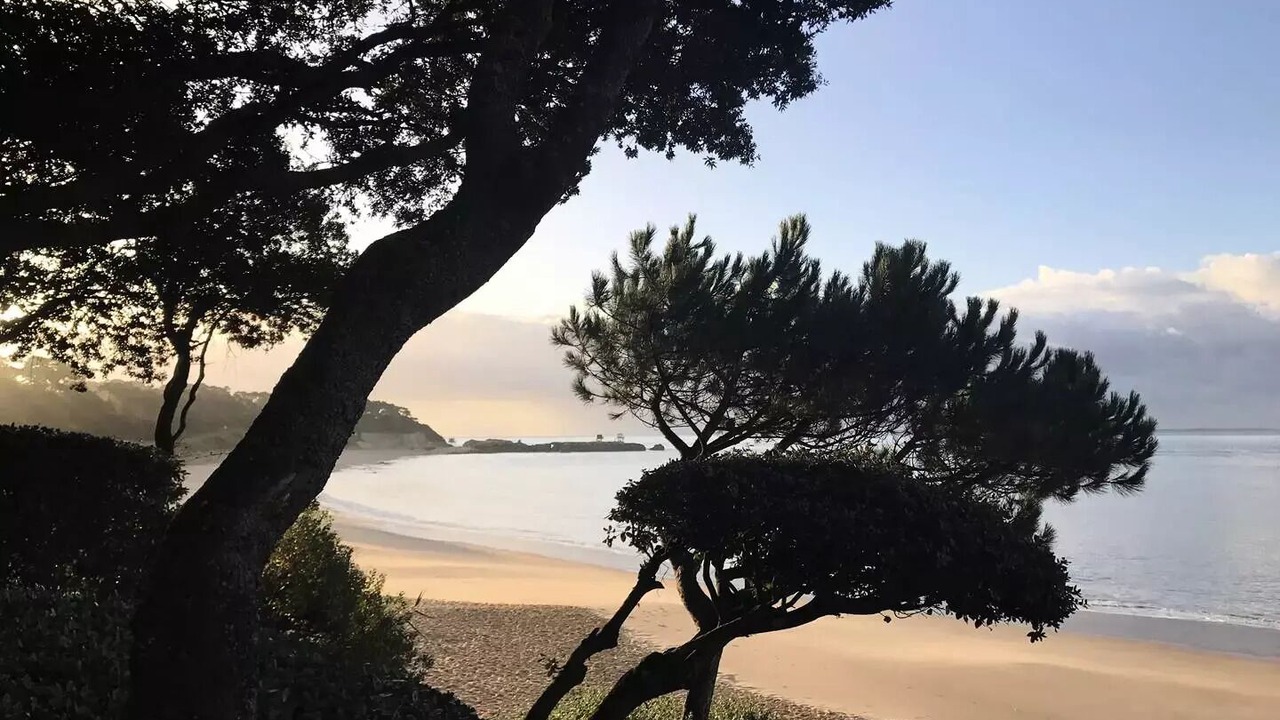 Photo of Others in Saint-Palais-sur-Mer