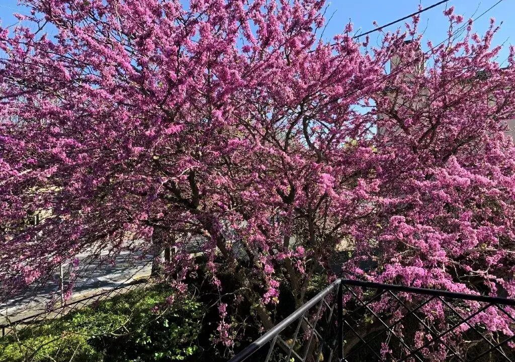 Photo of Outdoor in Saint-Georges-de-Didonne