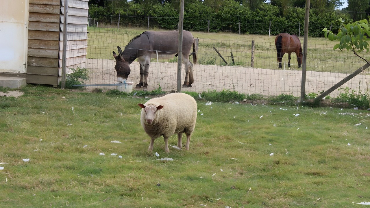 Photo of Others in Landemont
