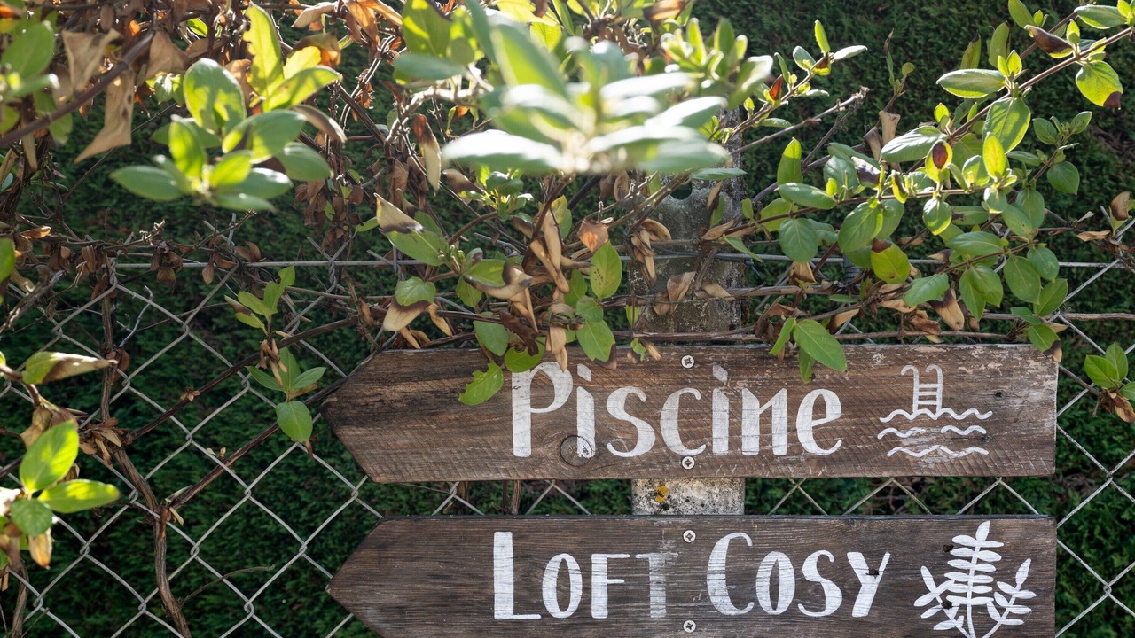 Photo of Outdoor in Saint-Savin