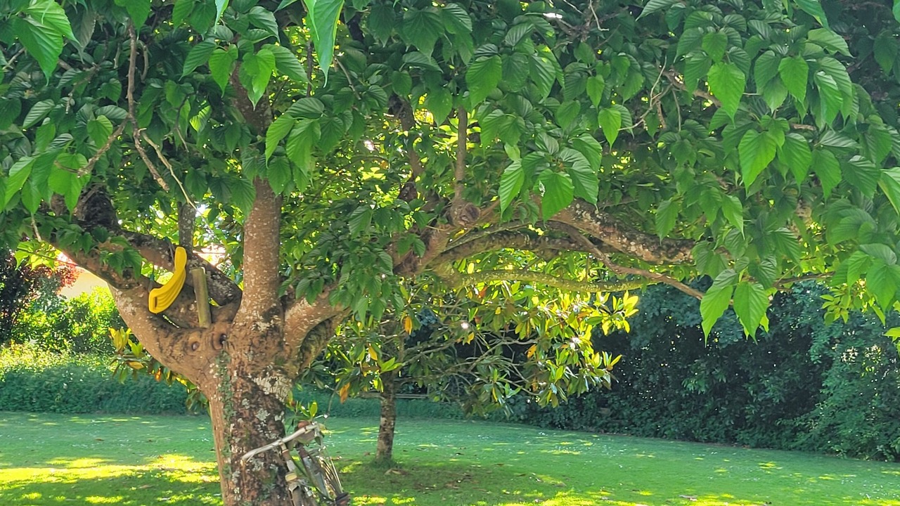 Photo of Outdoor in Varzay